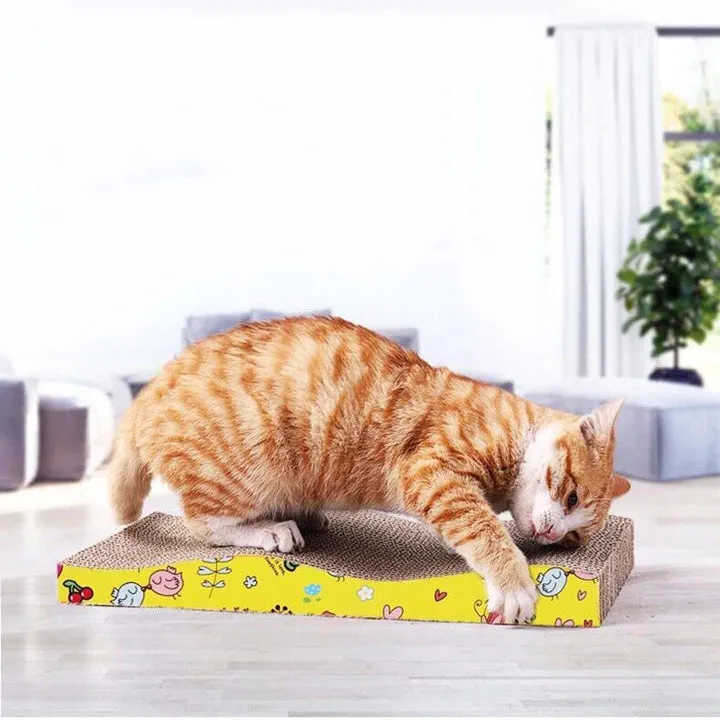 Durable Cat Scratching Board Bed Type | PetFusion.pk