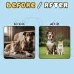 Caniverm Deworming Tablets for Cats & Dogs - Image 4