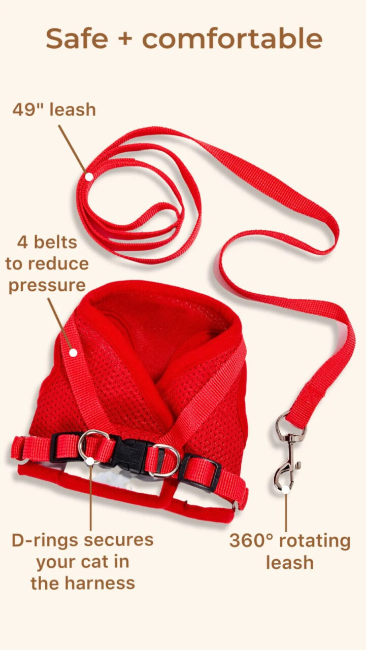 image 18 Pet Store in Karachi – Premium Pet Supplies & Accessories
