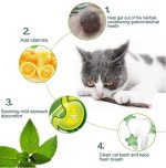 Catnip Stick (Best for Cat Dental Health) - Image 4