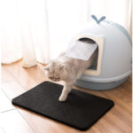 Durable Double Layer Scratching Cat Litter