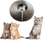 Magic Organ Board Toy for Kitten and Cats - Image 10