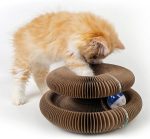Magic Organ Board Toy for Kitten and Cats - Image 2
