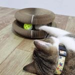 Magic Organ Board Toy for Kitten and Cats - Image 3