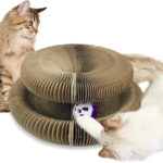 Magic Organ Board Toy for Kitten and Cats