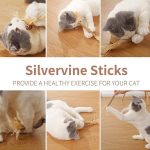 All Natural Catnip Teething Toy for Cats (Pack of 2) - Image 8