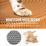 Magic Organ Board Toy for Kitten and Cats - Image 4