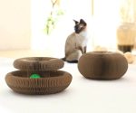 Magic Organ Board Toy for Kitten and Cats - Image 8