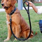 PU Leather Collar + Leash Heavy Duty For Dogs - Image 3