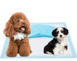Super Absorbent Leak-Resistant Pee Pads (XL) - Image 5
