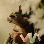 Ranova Freeze Dried Cat Lollipops - Image 4