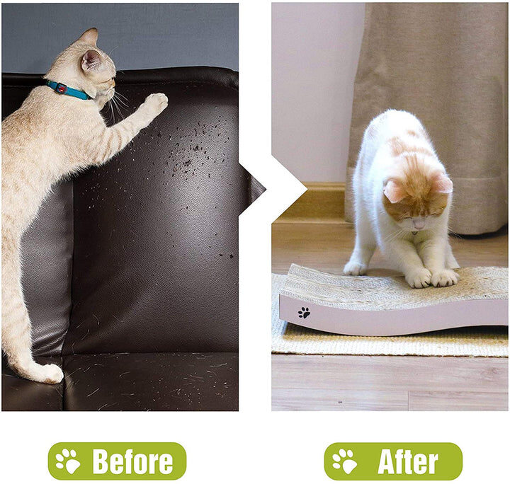 image 7 Pet Store in Karachi – Premium Pet Supplies & Accessories
