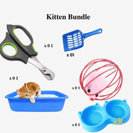 New Kitten Bundle