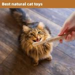 All Natural Catnip Teething Toy for Cats (Pack of 2) - Image 3