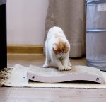 Durable Cat Scratching Board Bed Type - Image 5