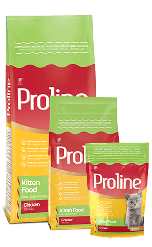 image (9) proline cat food