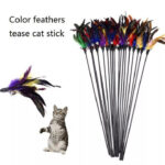 Cat Colourful Playing Stick - Image 5