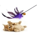 Cat Colourful Playing Stick - Image 9