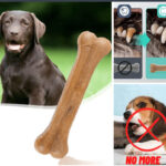 Calcium Chewing Bones Teether for Strong Teeth