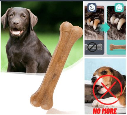 Calcium Chewing Bones Teether for Strong Teeth