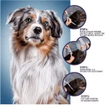 Anti Flea & Tick Collar for Cats & Dogs - Image 4