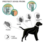 Anti Flea & Tick Collar for Cats & Dogs - Image 5