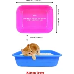 Kitten Litter Tray with Free Scoop - Image 2