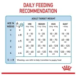 Royal Canin Baby Dog Milk 2 KG - Image 3