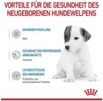 Royal Canin Baby Dog Milk 2 KG - Image 2