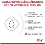 Royal Canin Baby Dog Milk