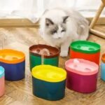 Cat Water Fountain
