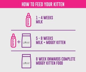 MOGGY KITTEN FOOD (CHICKEN & RICE) 1 KG - Image 3