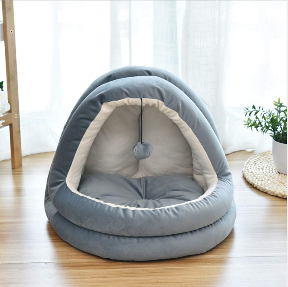1000249351 Pet Store in Karachi – Premium Pet Supplies & Accessories