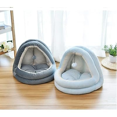 1000249352 Pet Store in Karachi – Premium Pet Supplies & Accessories
