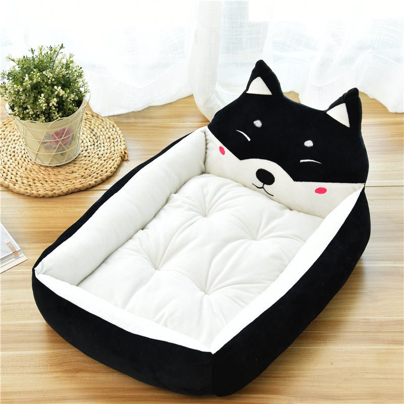 1000249360 Pet Store in Karachi – Premium Pet Supplies & Accessories