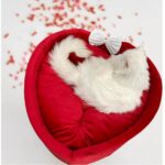 Heart Shaped Cat Bed