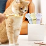 HappyCat Treat Spoon and Dispenser