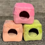 House in a Bed (House Cum Bed)