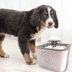Cat Water Fountain 2.5L – Ultra Quiet Automatic Drinking Fountain for Cats & Dogs with Filter - Image 5