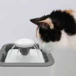 Cat Water Fountain 2.5L – Ultra Quiet Automatic Drinking Fountain for Cats & Dogs with Filter - Image 3