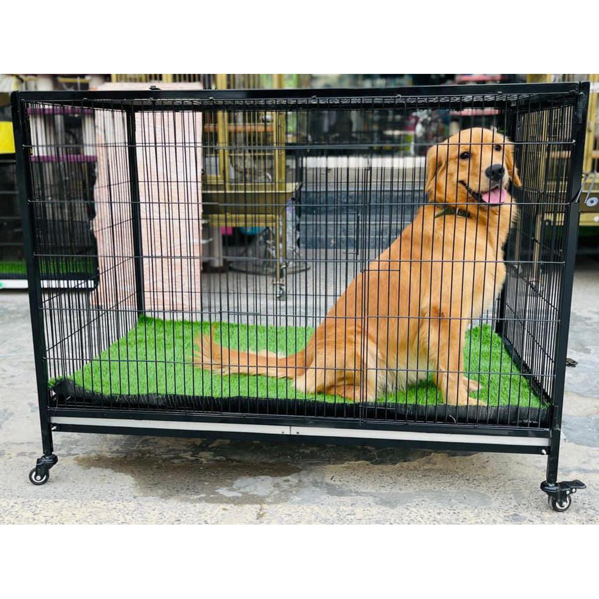 01e6f463f7aa0fc5ac0a565c2e3b0fdf.jpg Folding Iron cage - with grass carpet - Image 1