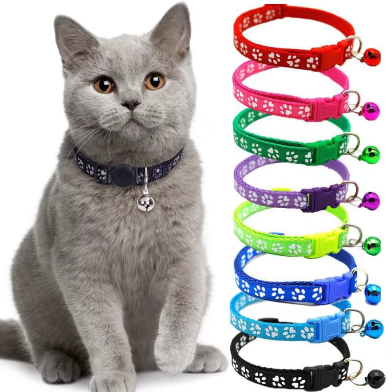 Kitten Collar with Bell 2 Pack Breakaway Cat Collars with Safe Quick Release Buckle Adjustable Soft Pet Collar for Small Medium Kitty Cats 2c9a974f cd5d 4412 9a36 1393d774245c.872ce1b Creative water features and exterior