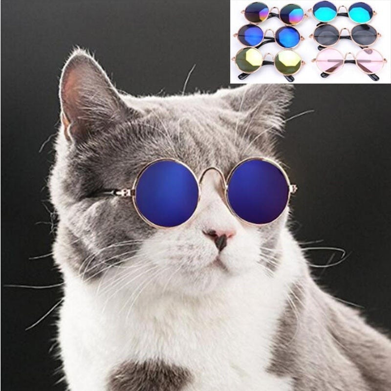 Pop-Pet-Eyes-Sunglasses-Shades-for-Cats-and-Small-Puppies-pets-park-pk-39_800x_3f0200aa-b678-449c-b743-5209d6b8737b.jpg Glasses for Cats & Dogs - Image 1