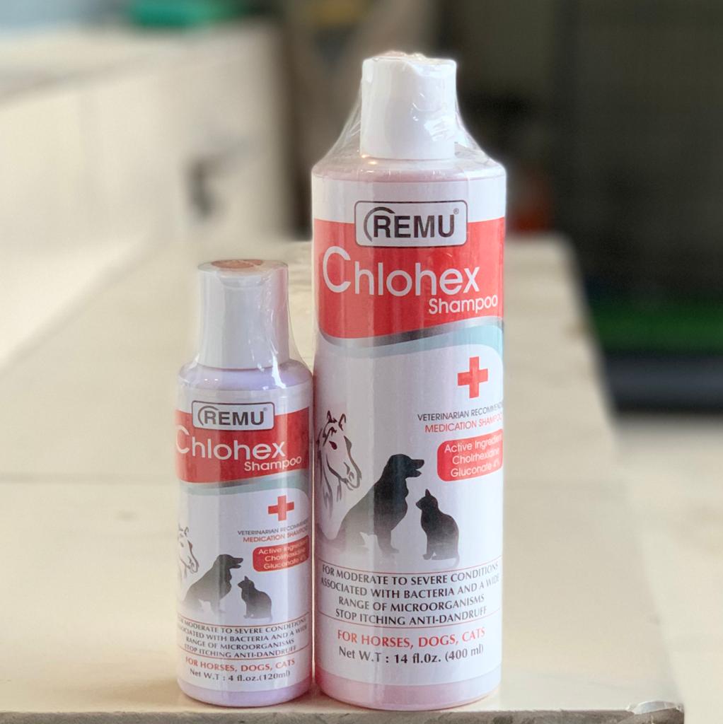 chlohex-3.jpg Remu - Chlohex Medicated Shampoo for Cats and Dogs - Image 1