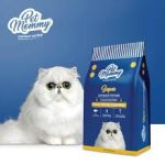 Pet Mommy For Cat