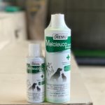 Remu - Melaleuca (Tea Tree) Medicated Shampoo