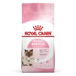 Royal Canin Mother & Baby Cat Dry Food
