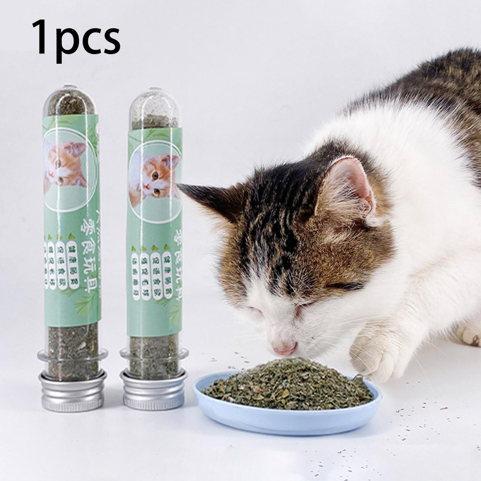 s-l1600_3.jpg Cat Nip Herb - Image 1