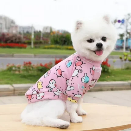 CAT/PUPPY CLOTHES