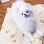 Pet Cool Pad Plastic Foldable Pet Cooling Mat Cat Sleeping Pad Puppy Summer Bed - Image 5